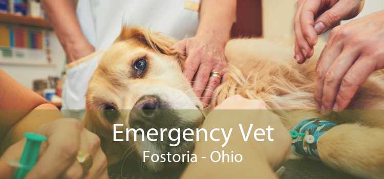 Emergency Vet Fostoria - Ohio