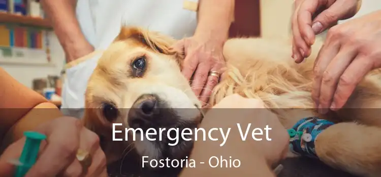 Emergency Vet Fostoria - Ohio