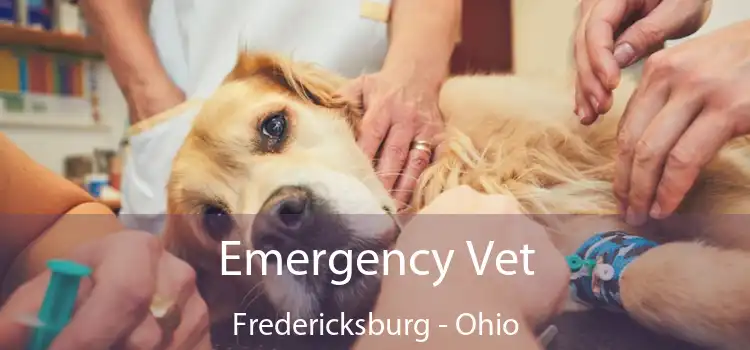 Emergency Vet Fredericksburg - Ohio