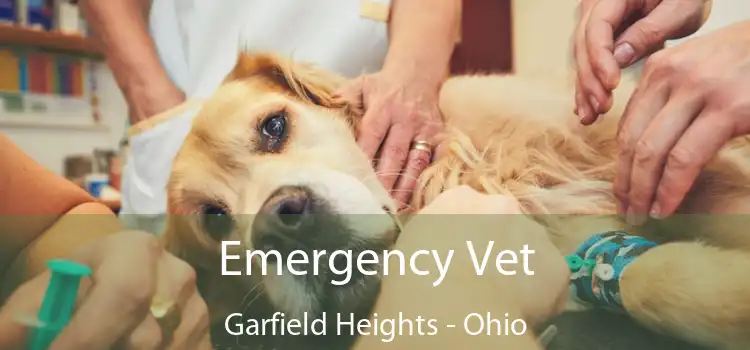 Emergency Vet Garfield Heights - Ohio