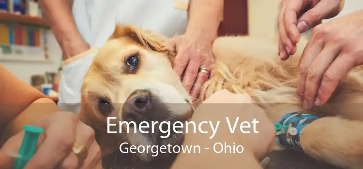 Emergency Vet Georgetown - Ohio