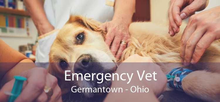 Emergency Vet Germantown - Ohio