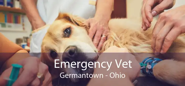 Emergency Vet Germantown - Ohio