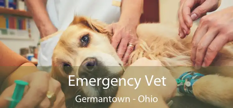 Emergency Vet Germantown - Ohio