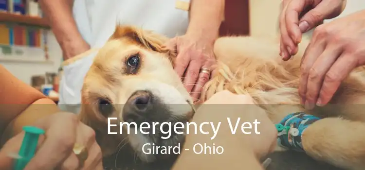 Emergency Vet Girard - Ohio