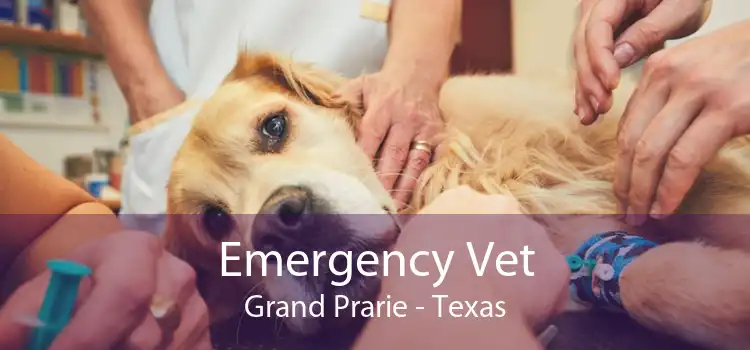 Emergency Vet Grand Prarie - Texas