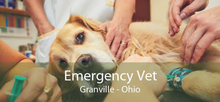 Emergency Vet Granville - Ohio