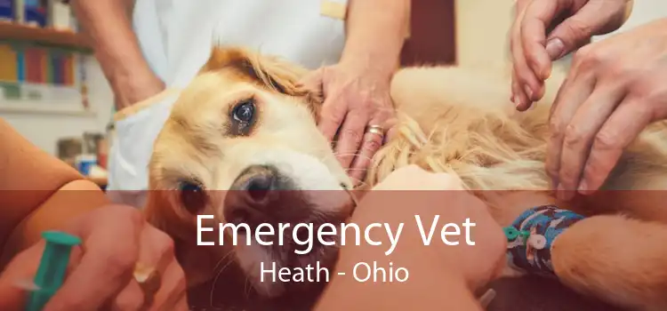 Emergency Vet Heath - Ohio