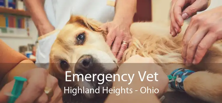 Emergency Vet Highland Heights - Ohio