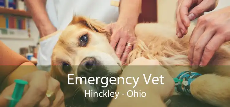 Emergency Vet Hinckley - Ohio