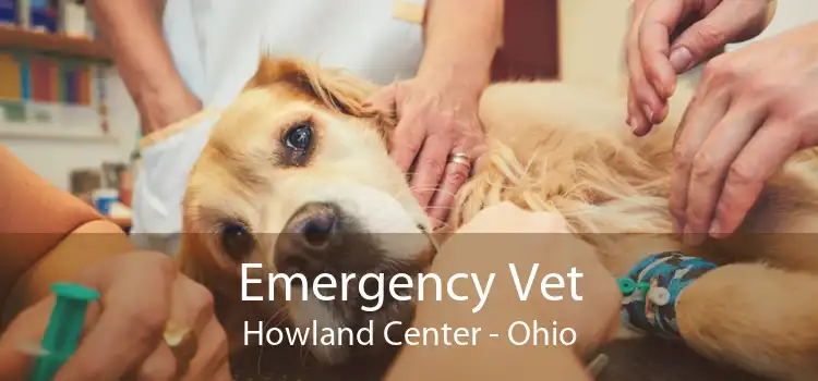 Emergency Vet Howland Center - Ohio