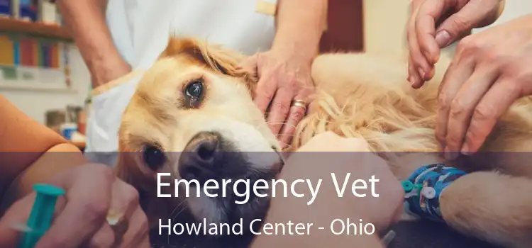 Emergency Vet Howland Center - Ohio