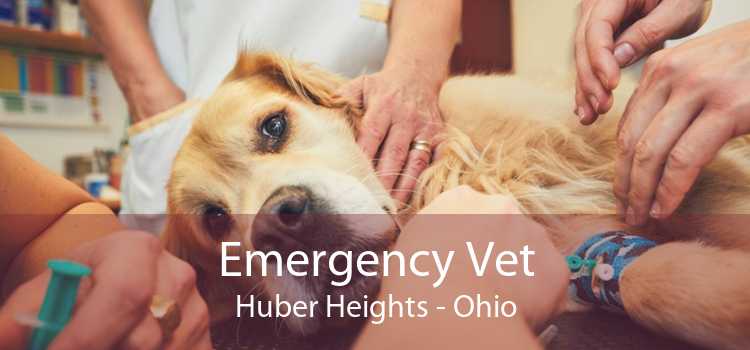 Emergency Vet Huber Heights - Ohio