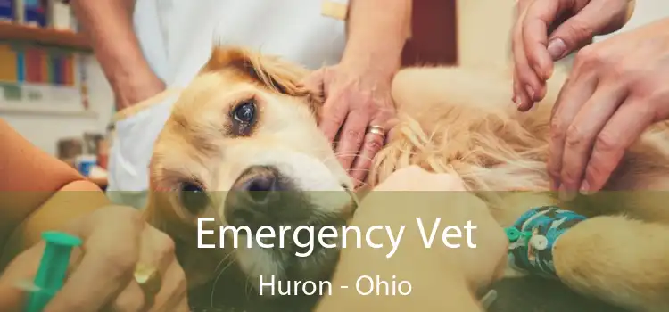 Emergency Vet Huron - Ohio