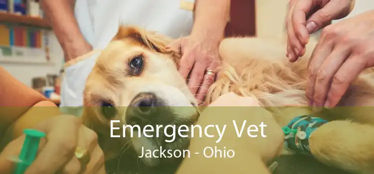 Emergency Vet Jackson - Ohio
