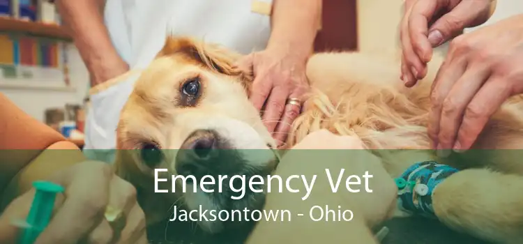 Emergency Vet Jacksontown - Ohio
