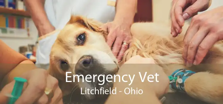 Emergency Vet Litchfield - Ohio