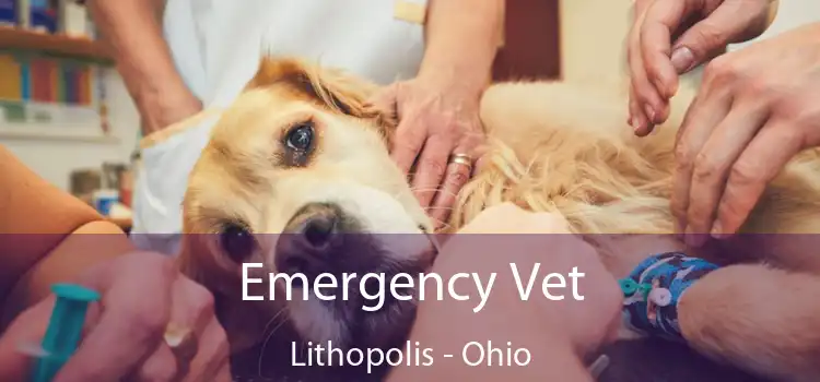 Emergency Vet Lithopolis - Ohio