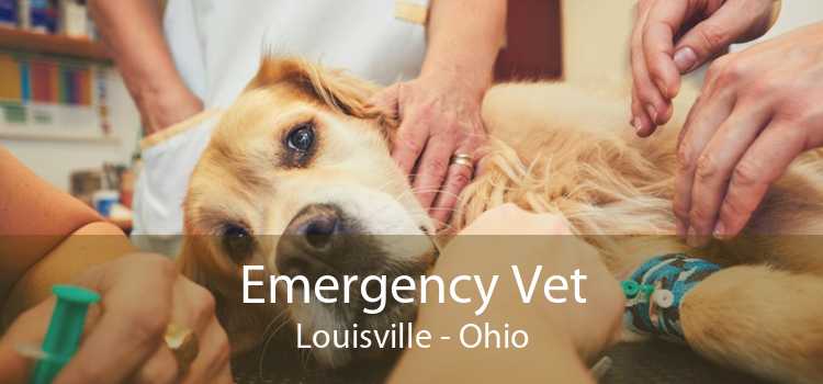 Emergency Vet Louisville - Ohio