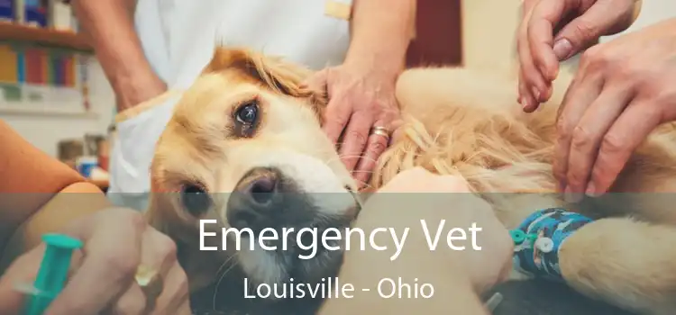 Emergency Vet Louisville - Ohio