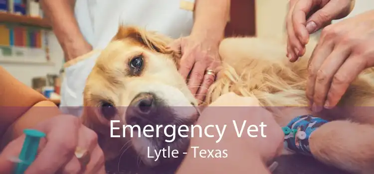 Emergency Vet Lytle - Texas