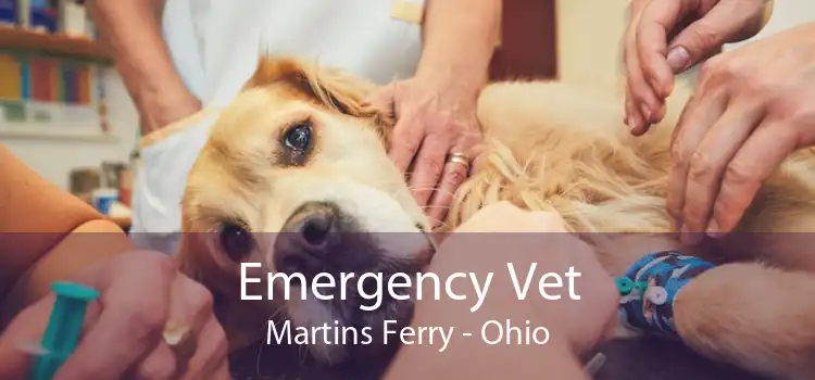 Emergency Vet Martins Ferry - Ohio