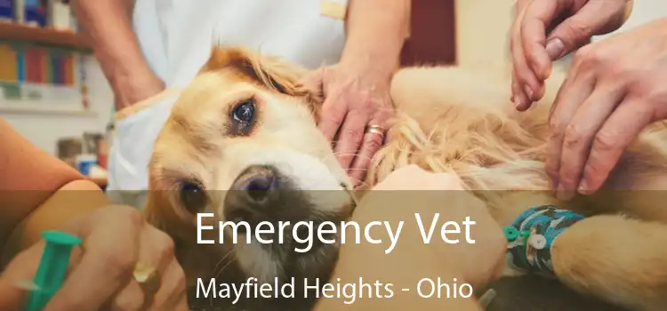 Emergency Vet Mayfield Heights - Ohio