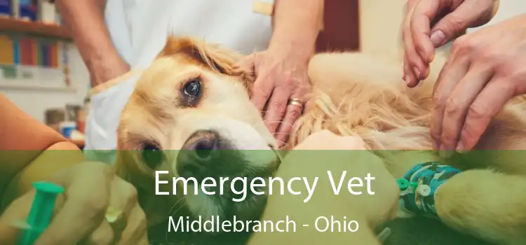 Emergency Vet Middlebranch - Ohio