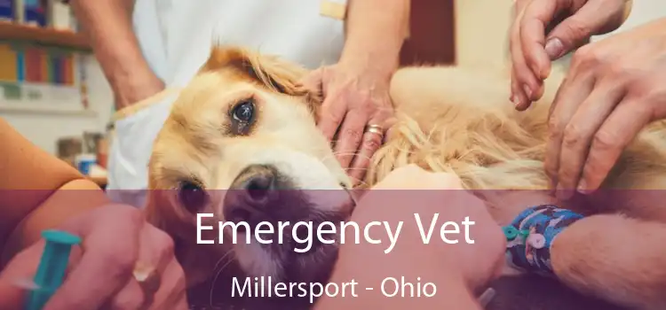 Emergency Vet Millersport - Ohio