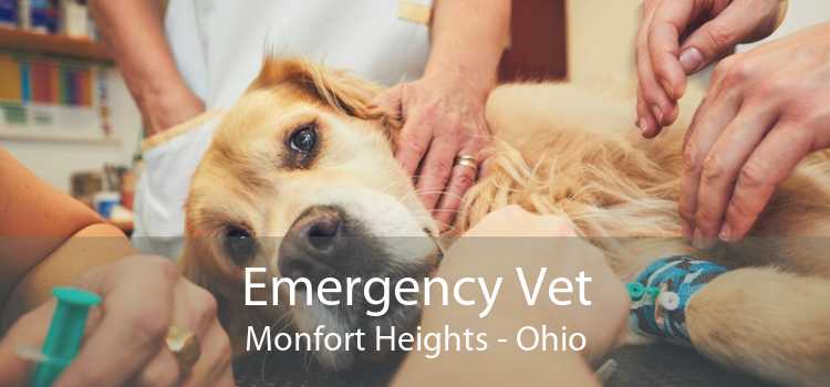 Emergency Vet Monfort Heights - Ohio