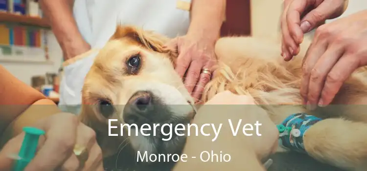 Emergency Vet Monroe - Ohio