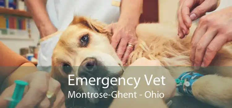 Emergency Vet Montrose-Ghent - Ohio