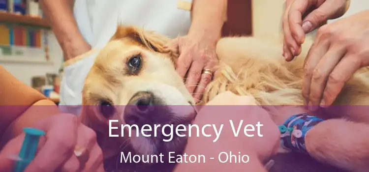 Emergency Vet Mount Eaton - Ohio