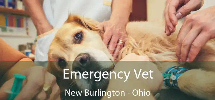 Emergency Vet New Burlington - Ohio