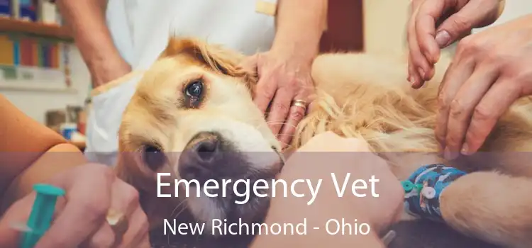 Emergency Vet New Richmond - Ohio