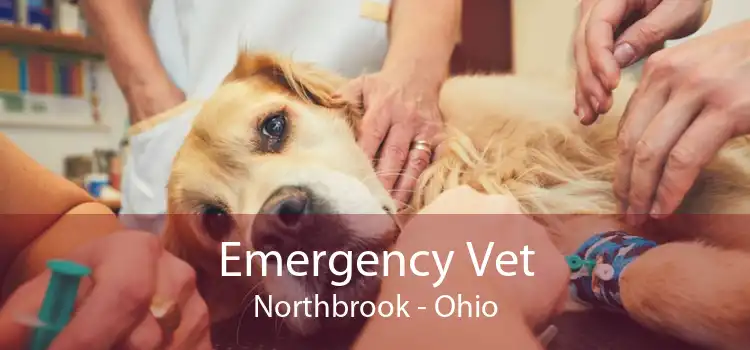 Emergency Vet Northbrook - Ohio