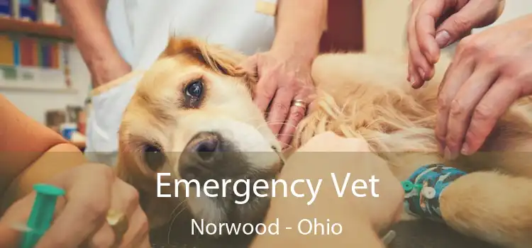 Emergency Vet Norwood - Ohio