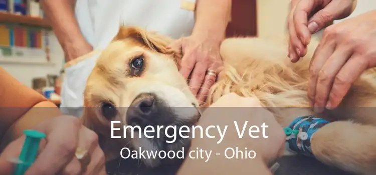 Emergency Vet Oakwood city - Ohio