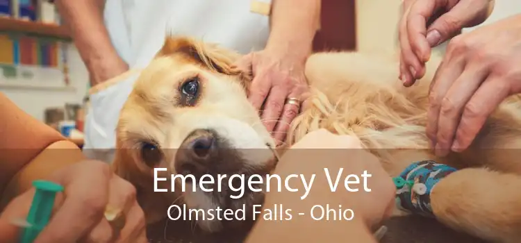 Emergency Vet Olmsted Falls - Ohio