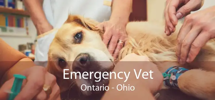 Emergency Vet Ontario - Ohio