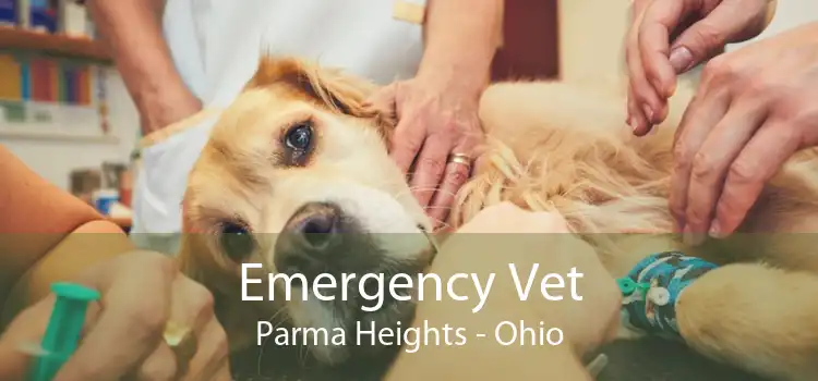 Emergency Vet Parma Heights - Ohio