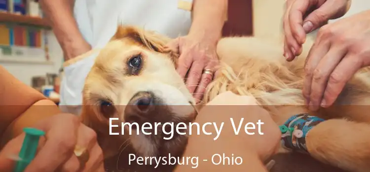 Emergency Vet Perrysburg - Ohio