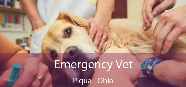 Emergency Vet Piqua - Ohio