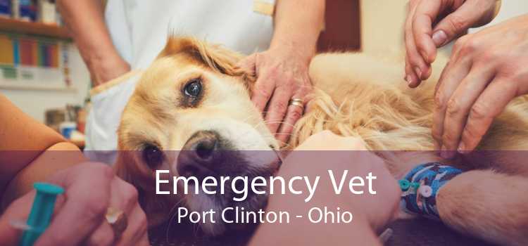 Emergency Vet Port Clinton - Ohio