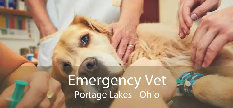 Emergency Vet Portage Lakes - Ohio