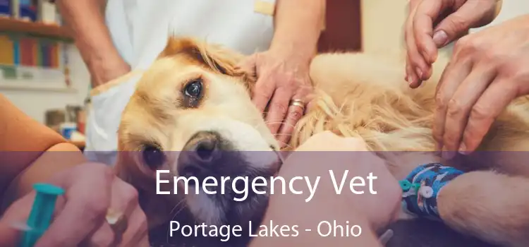 Emergency Vet Portage Lakes - Ohio