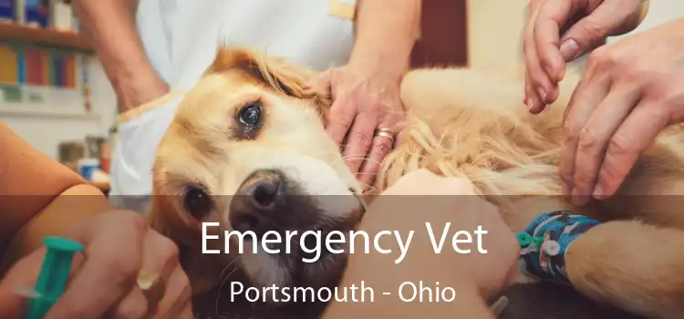 Emergency Vet Portsmouth - Ohio