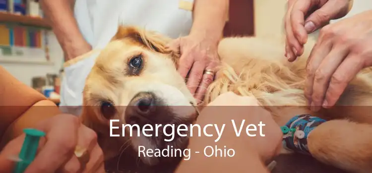 Emergency Vet Reading - Ohio