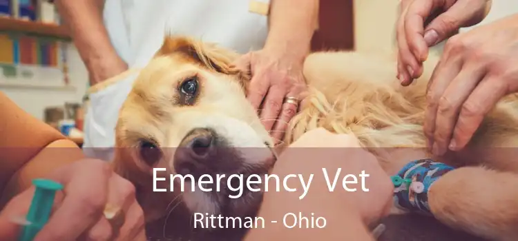 Emergency Vet Rittman - Ohio