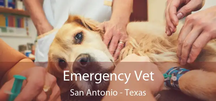 Emergency Vet San Antonio - Texas